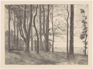 Trees by Water with Sailboats by Simon Moulijn