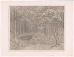 Forest Scene by Simon Moulijn
