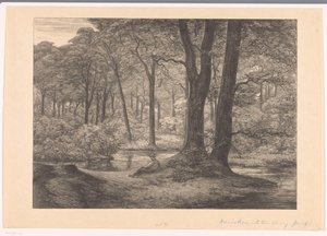 View of the Hunnenschans on the Veluwe by Simon Moulijn