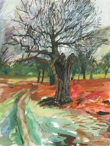 Old tree, Richmond Park by Simon Neville