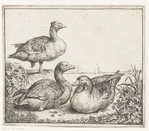 Three Geese by Simon de Vlieger