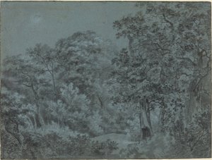 In the Hague Woods