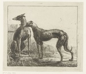 Two Greyhounds (Various Animals) by Simon de Vlieger
