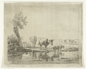 Pastoral Landscape with Cows by Water by Simon van den Berg