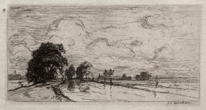 Flooded Landscape with Trees