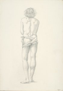 Back View of Standing Male Nude