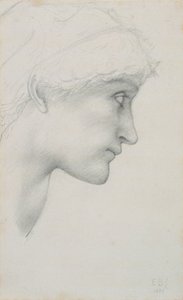 Head