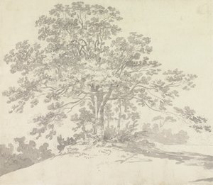 Tree by Sir George Howland Beaumont seventh Baronet