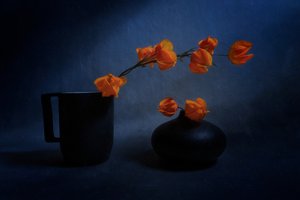 Autumn Lantern Still Life by Siyu_Wei APA
