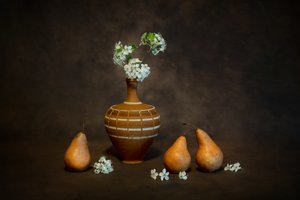 Rustic Still Life Blossoms by Siyu_Wei APA