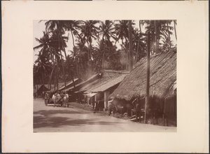 Untitled (verso)