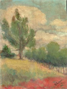 Slope with a Large Tree