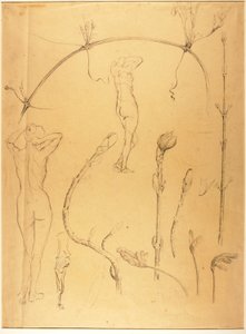 Branch and Nude Study by Solon H. Borglum