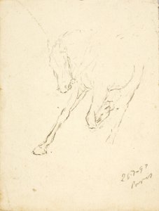 Horse by Solon H. Borglum