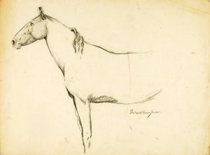 Horse by Solon H. Borglum