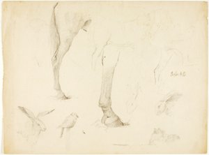 Horse Study and Rabbits
