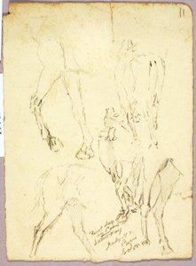 Horses by Solon H. Borglum