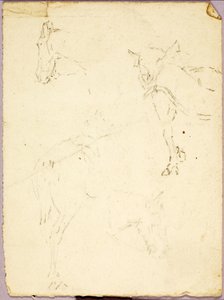 Horses