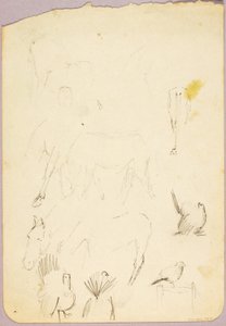 Horses and Turkeys