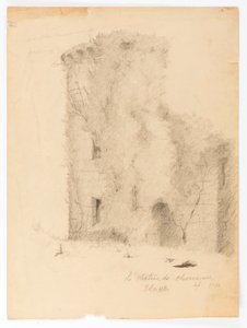 The Castle of Chevenevase by Solon H. Borglum