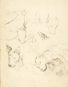 Sleeping Dogs