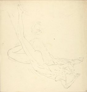 The Plunge #3 by Solon H. Borglum