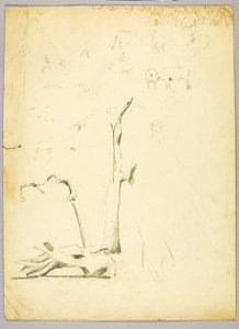Tree Trunks and Sheep