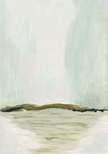 Soft Horizon Landscape