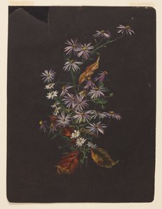 Study of an Autumn Bouquet by Sophia L. Crownfield