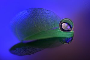 Delicate Leaf Glass Orb