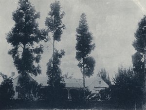 A Dutch Farm, near New Croesus Gold Mining Company (b/w photo) by South African Photographer