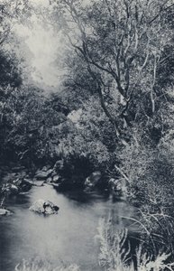 A Fairy Scene, near Witpoortje (b/w photo) by South African Photographer