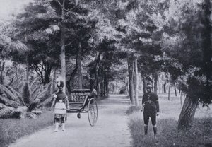 Albert Park, Durban