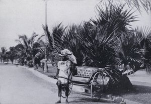 Bay Esplanade, Durban, showing Ricksha by South African Photographer