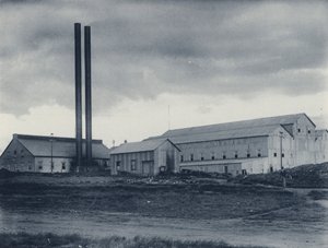 Crown Reef Gold Mining Company