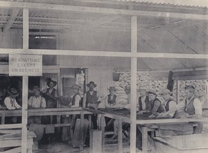 Diamond Sorting, Wesselton Mine by South African Photographer