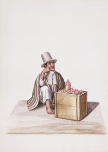 Types and Costumes of New Granada