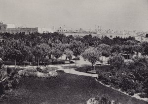 Cadiz: Genoves Park