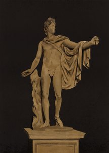 Apollo Belvedere by Spanish School