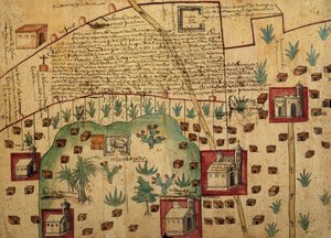 Ayer MS 1801 Map 1: Map of lands in the Tultepec and Jaltocan regions adjacent to the Hacienda de Santa Ines, Mexico, published 1569