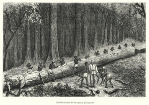 Construction of the Canoe Livingstone, Congo by Spanish School