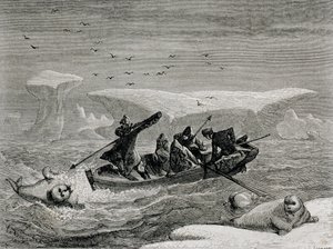 Hunting Walrus with Harpoons in the Spitsbergen Islands, Svalbard archipelago, illustration from 