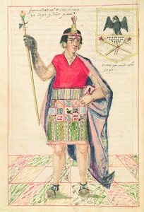 Illustration of Cincheroca, from 