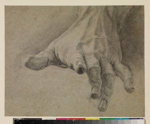 Study of a left hand, 18th century by Spanish School