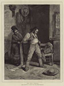 The Bull Fighter