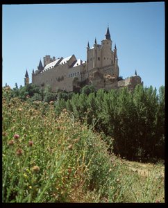 View of the Alcazar by Spanish School