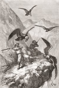 Édouard François André Attacked by Condors Near Calacali by Spanish School