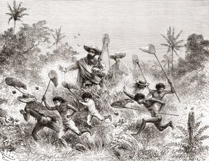Édouard François André Catching Butterflies in Villavicencio