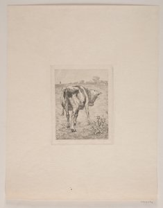 A Calf by Søren Lund