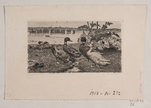 Ducks by Søren Lund